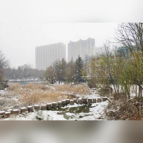 潍坊天气预报一周（潍坊天气预报一周15天天气预报）