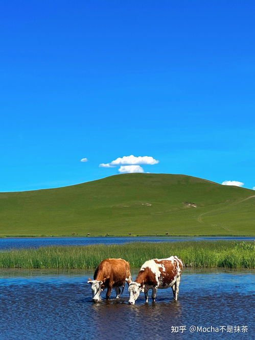 内蒙古旅游攻略（内蒙古旅游攻略必玩的景点腰间盘突出疼痛）