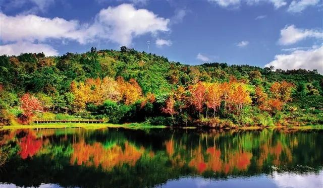 五指山天气(从化五指山天气) 五指山天气(从化五指山天气)