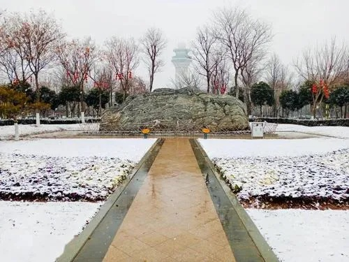 河南下雪最新情况今天（河南下雪了吗2020今天人降雪）