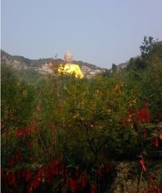代县天气预报(太原天气预报) 代县天气预报(太原天气预报)