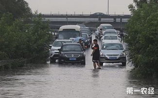 北京天气预警发布最新（北京提前发布暴雨预警）