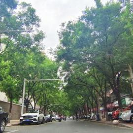 河南将迎来大范围降雨（河南将迎来强降雨）