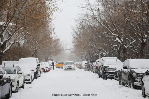 哈尔滨现在下雪了吗（2025年8月下雪的城市）