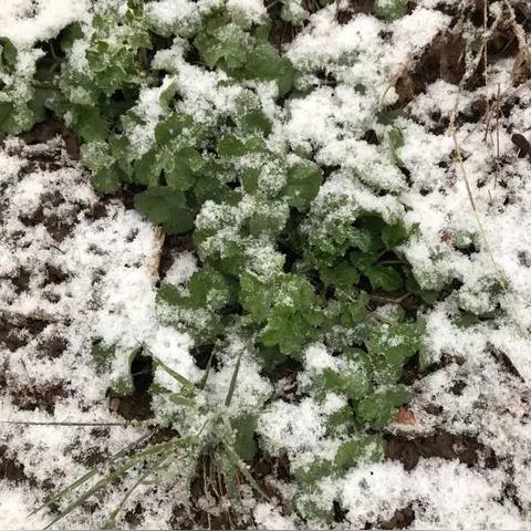 鲁山天气预报（鲁山天气预报30天准确一览表）